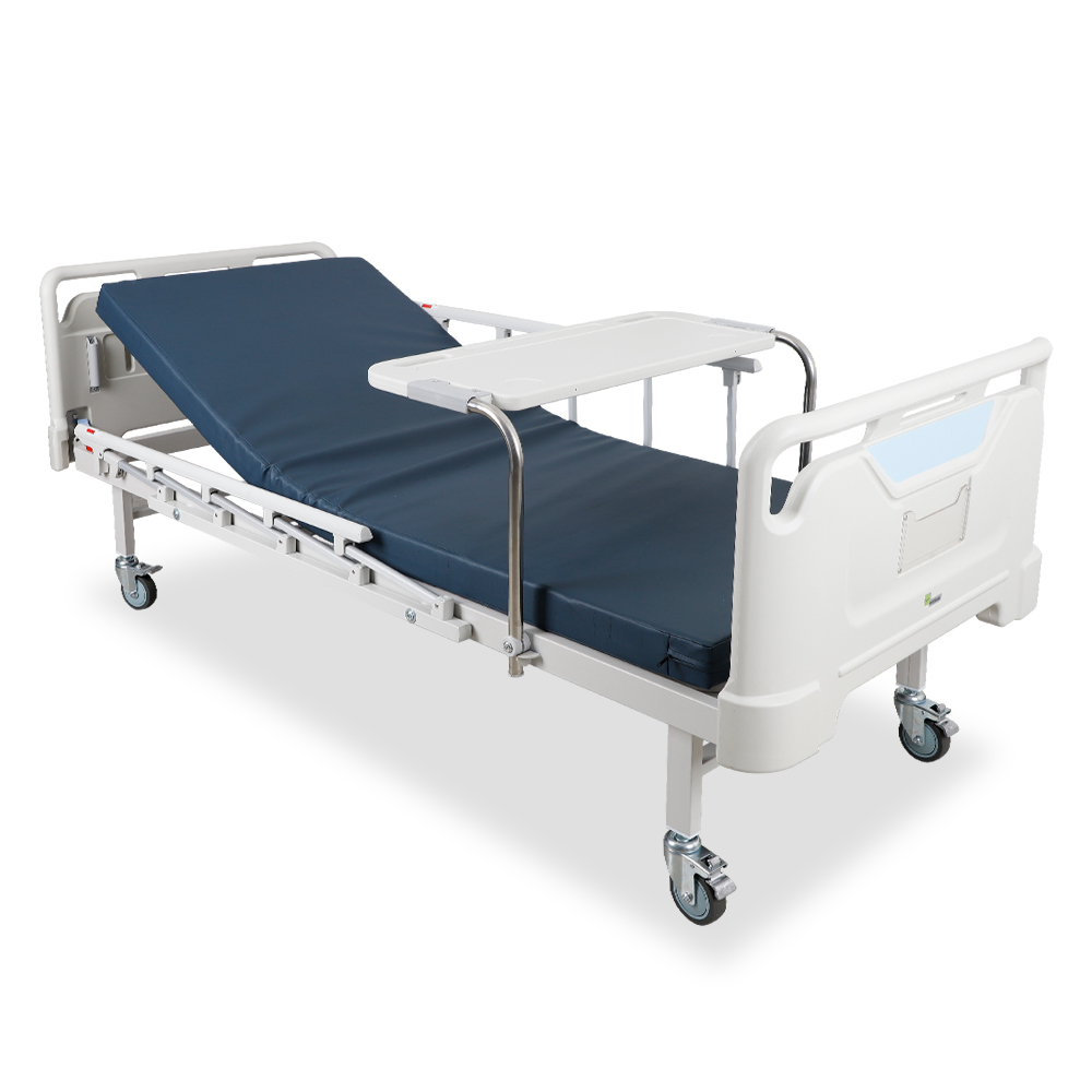 Giường bệnh nhân(2 motor điều khiển)